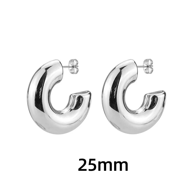 Classic Chunky Hoop Earrings